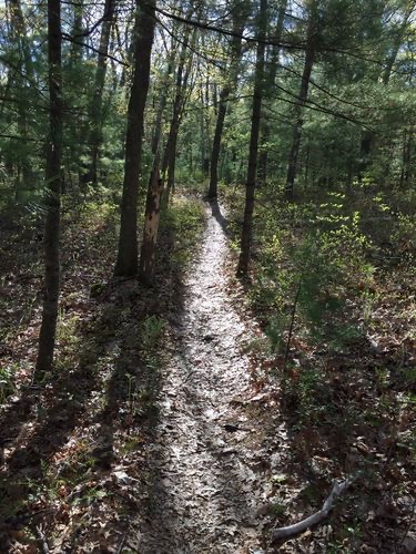 Trails - Concord, MA